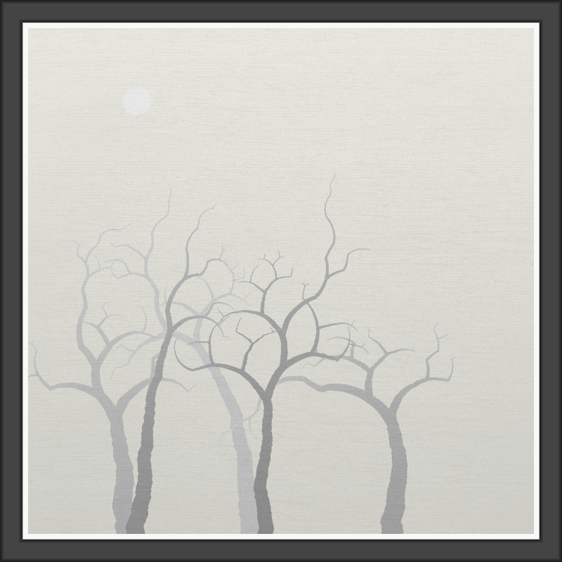 The Foggy Trees #16