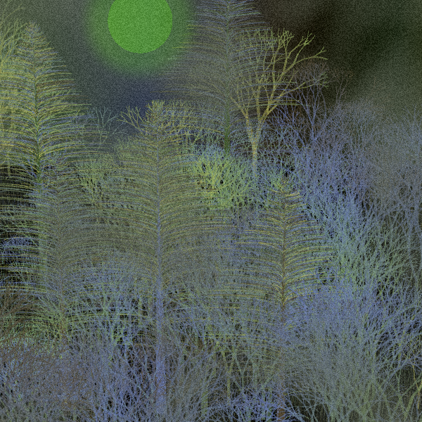 Moonlit Native Bush #21