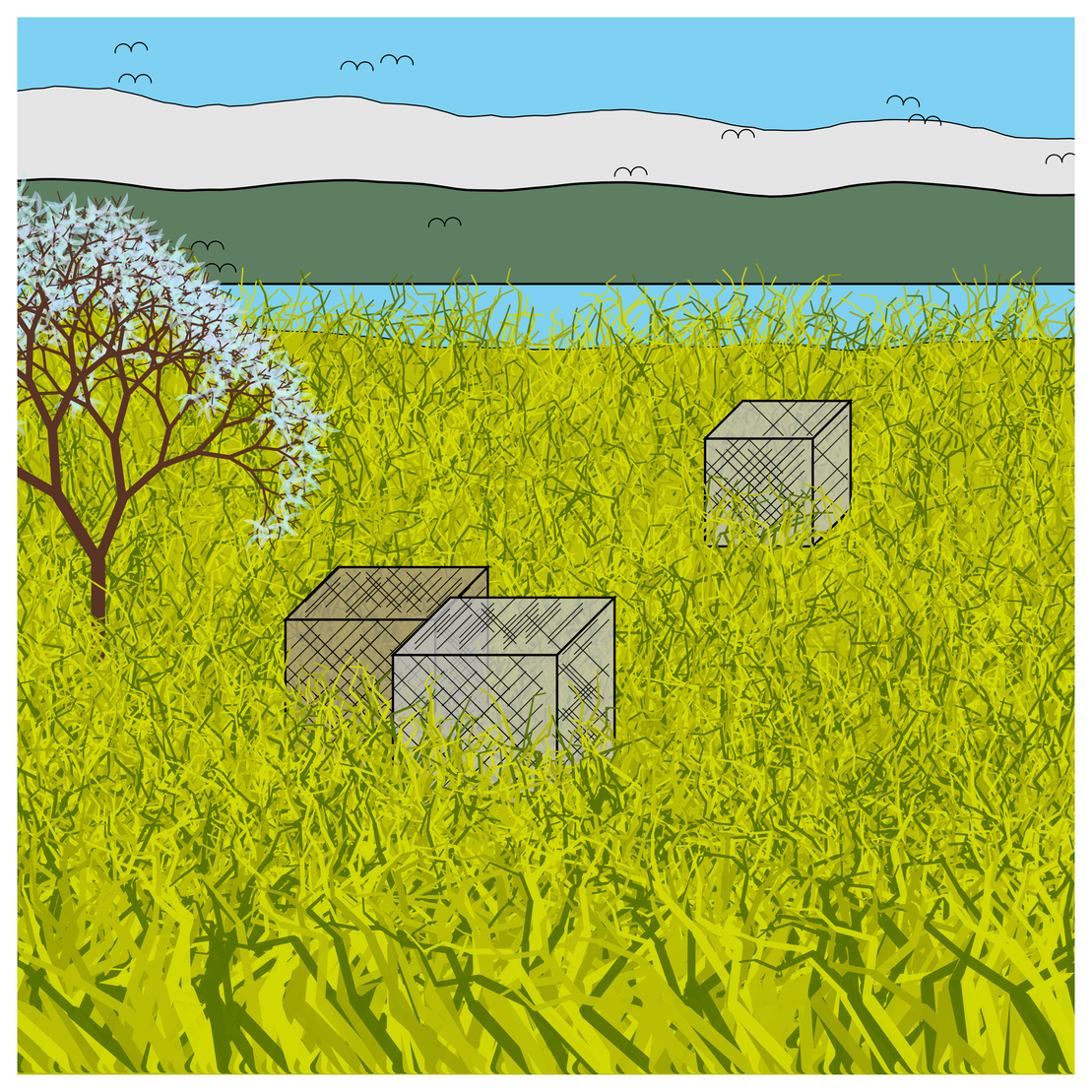 Cube Forest #19
