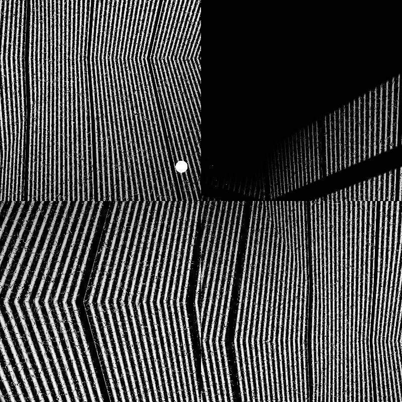 CARBON #21