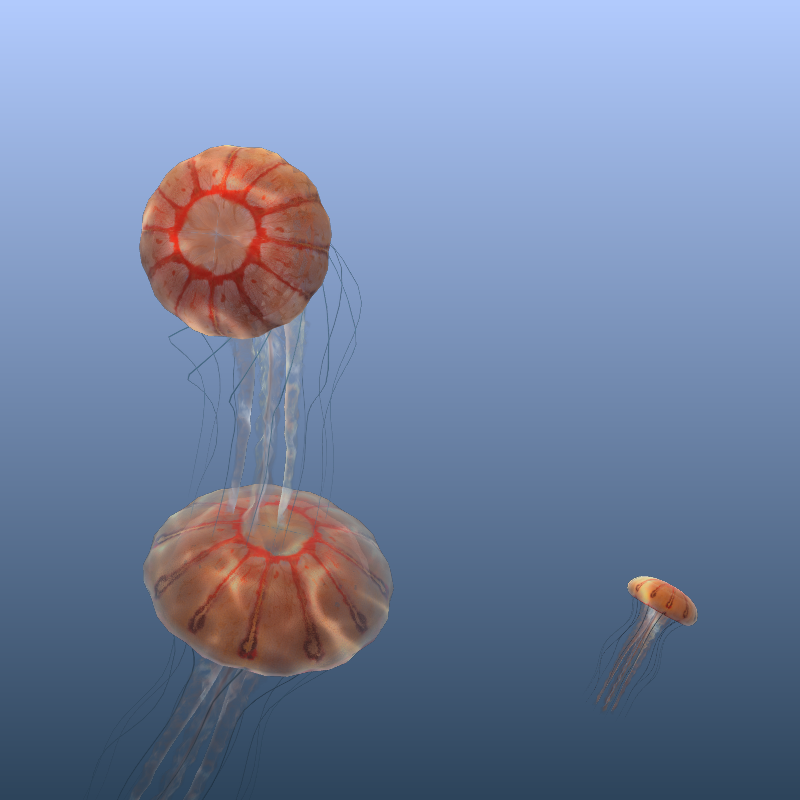 Jellyfish #17