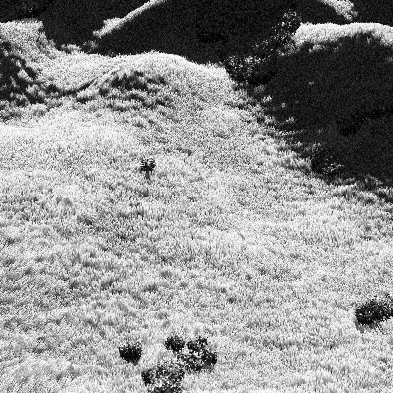 California Hills in Late Sun #140