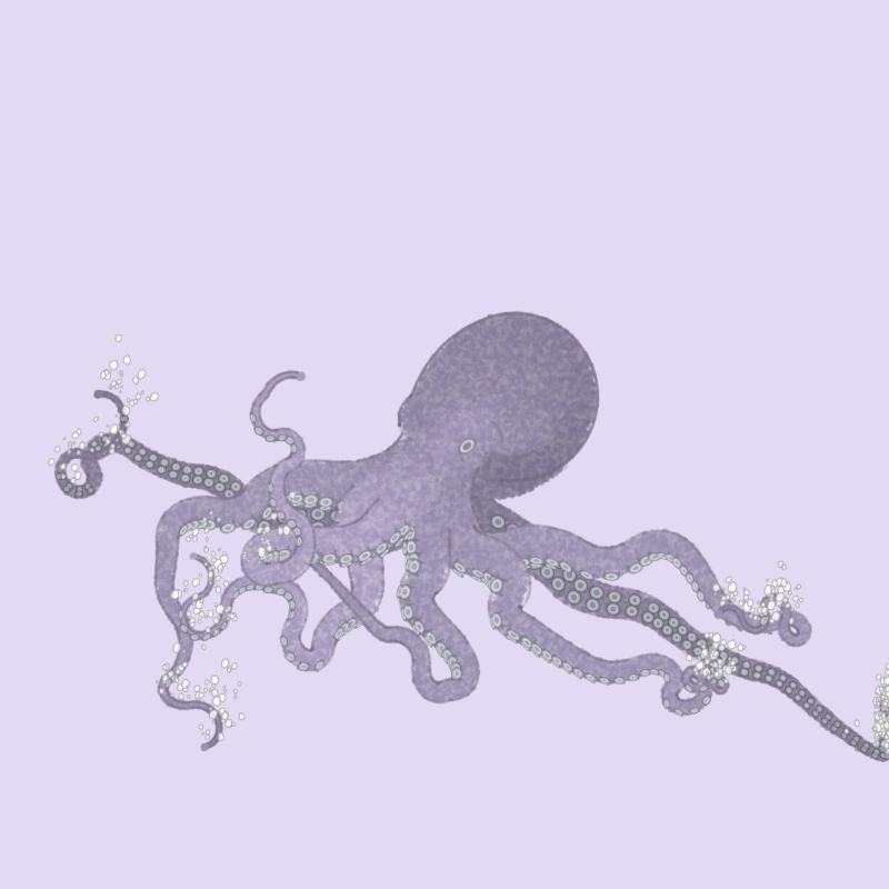 the generative octopuses #102