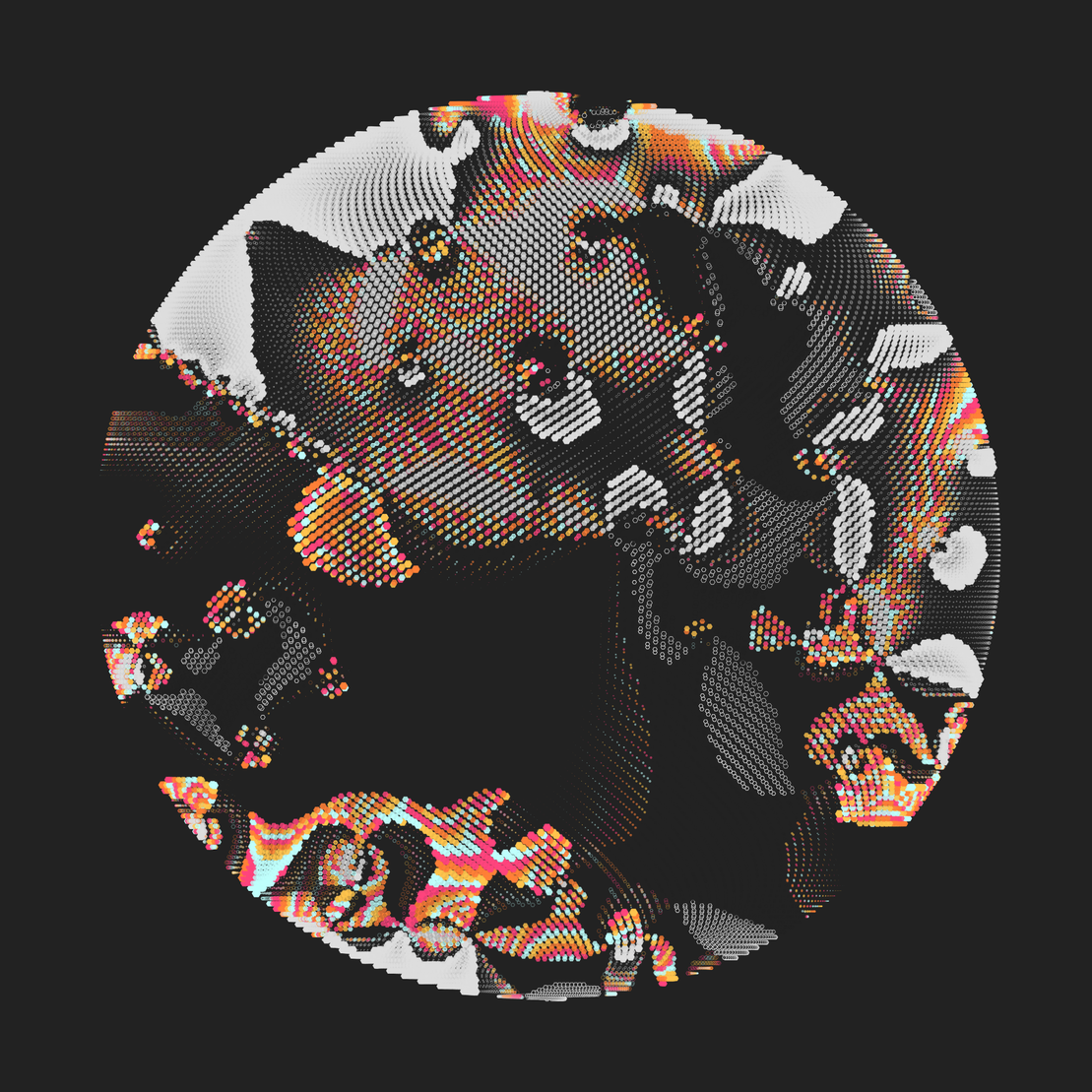 Still C #23804