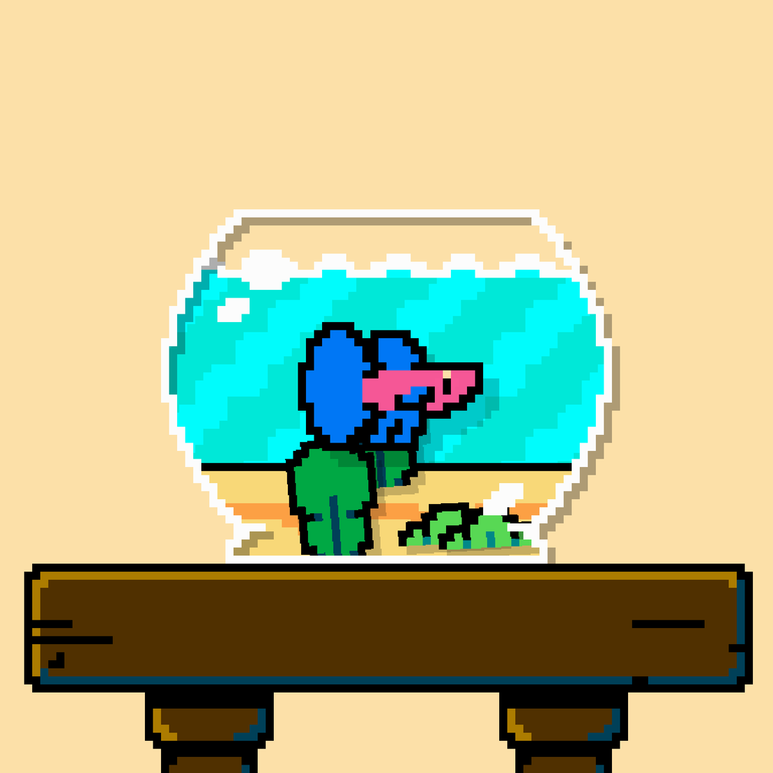 betta fish #494