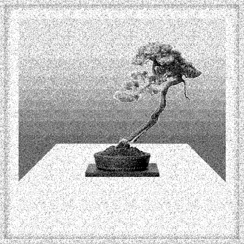 Bonsai Bonanza #382