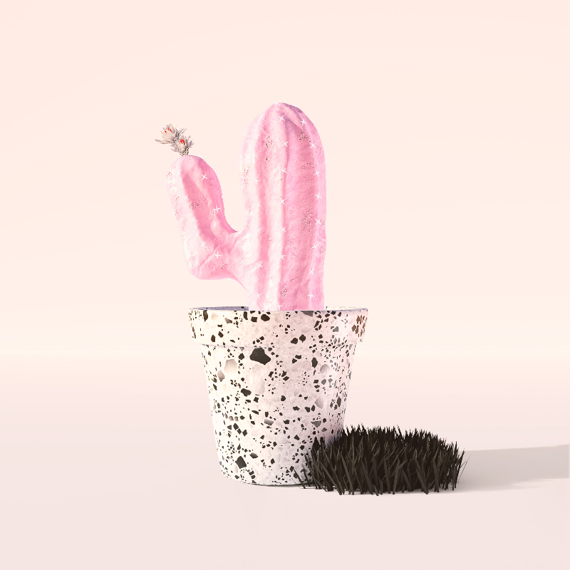 3D Crypto Cacti #29