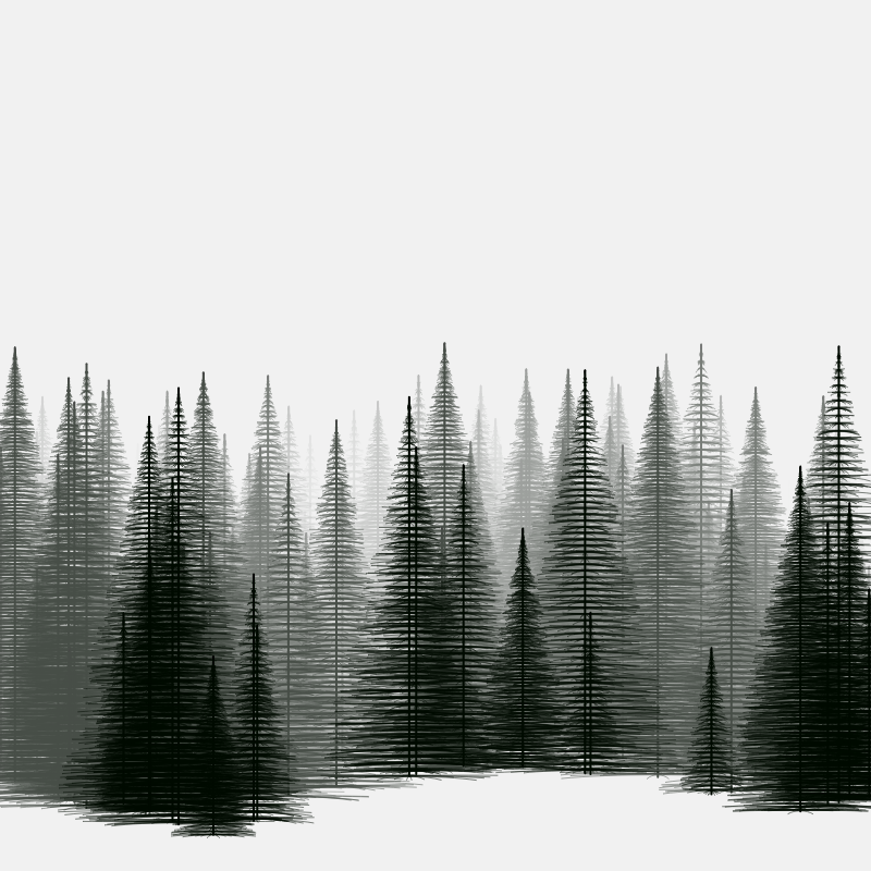 Pine trees in the cold #23