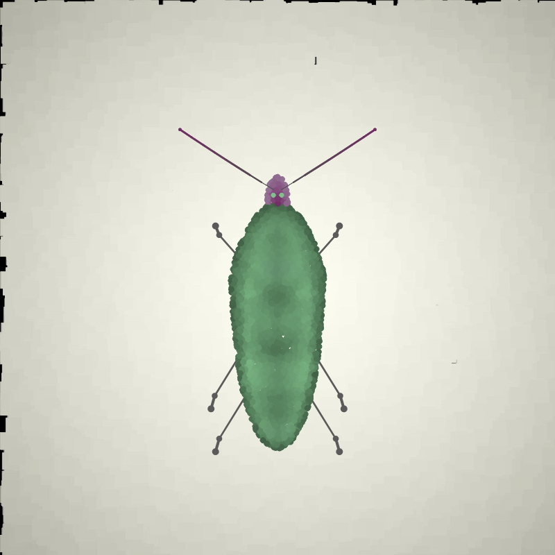 Beetle Sketches #4