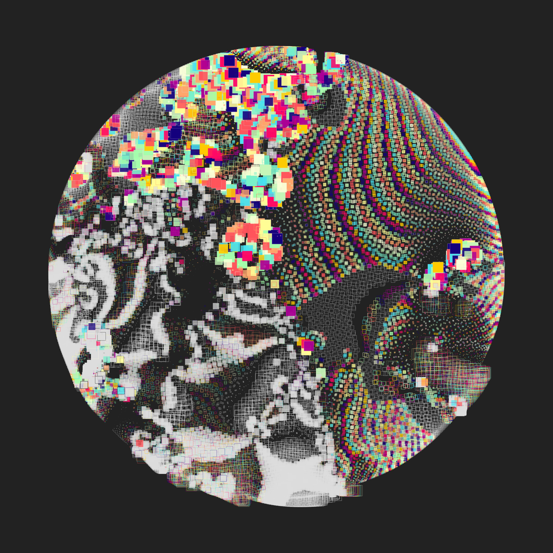 Still C #20665