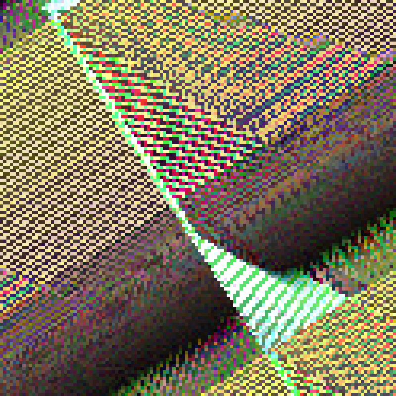 Grid, Rules and Cells #38