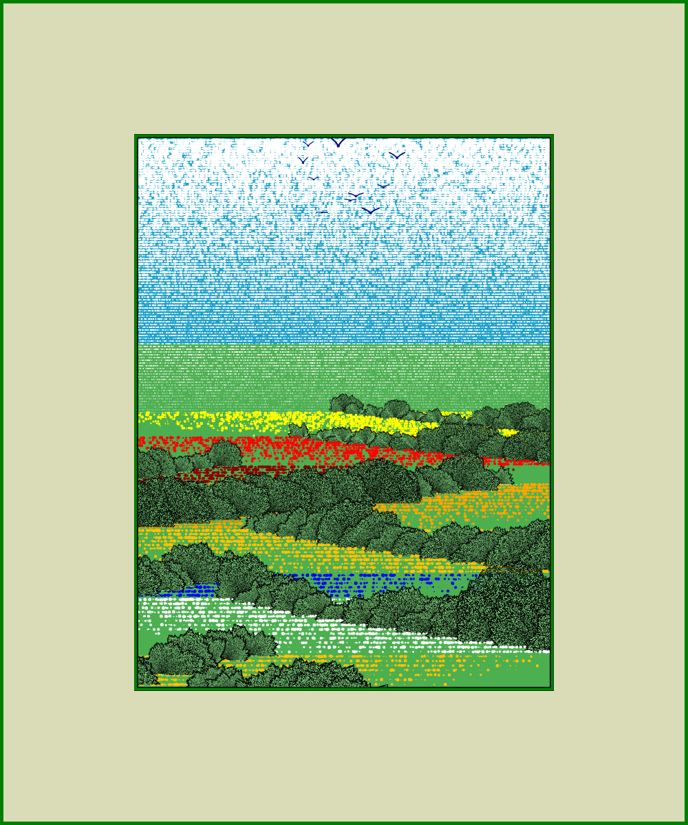 Fields of flowers #5
