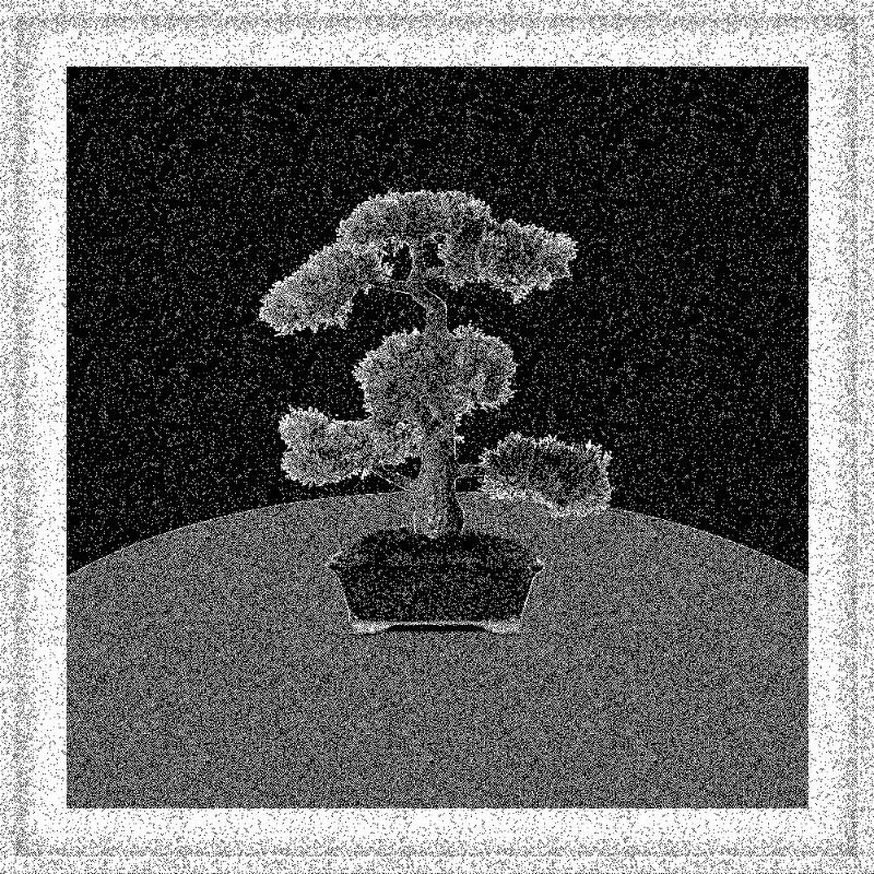 Bonsai Bonanza #860