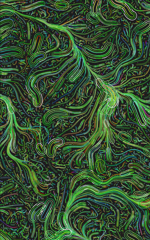 Flossom #189