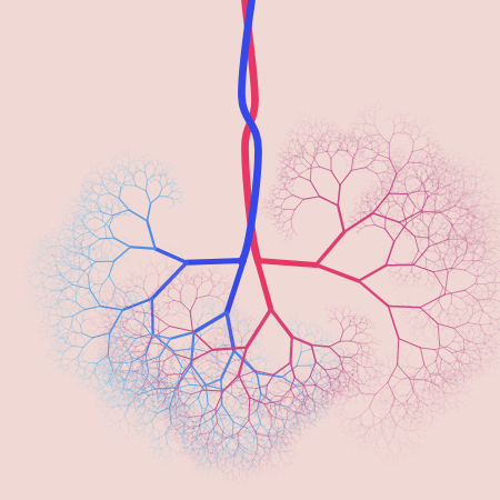 capillary trees #1