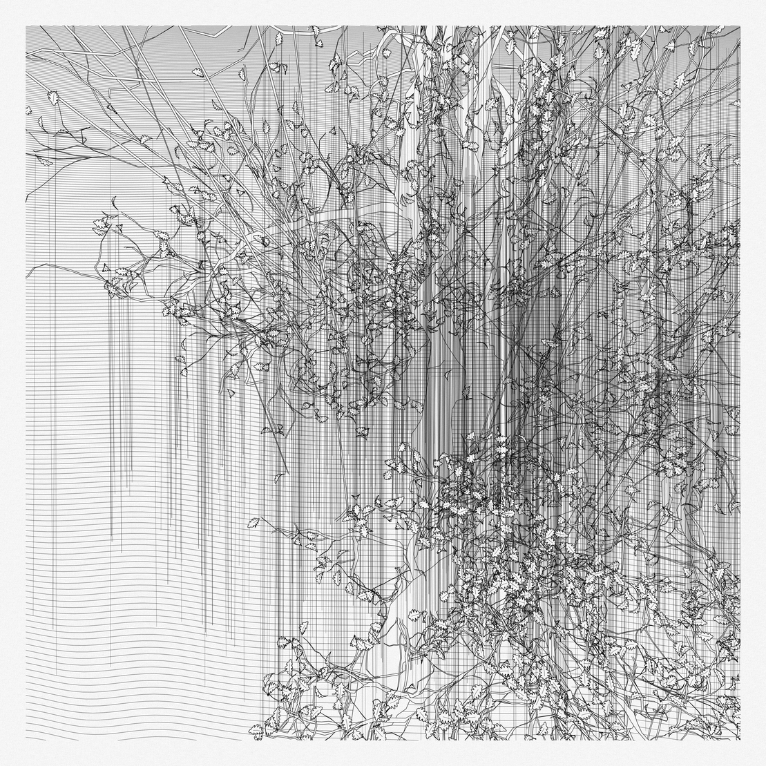 A Bugged Forest #484