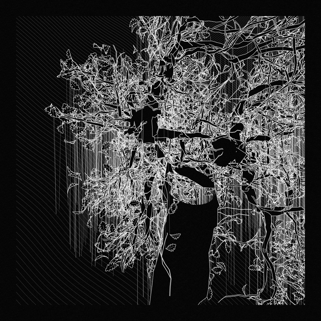 A Bugged Forest #851