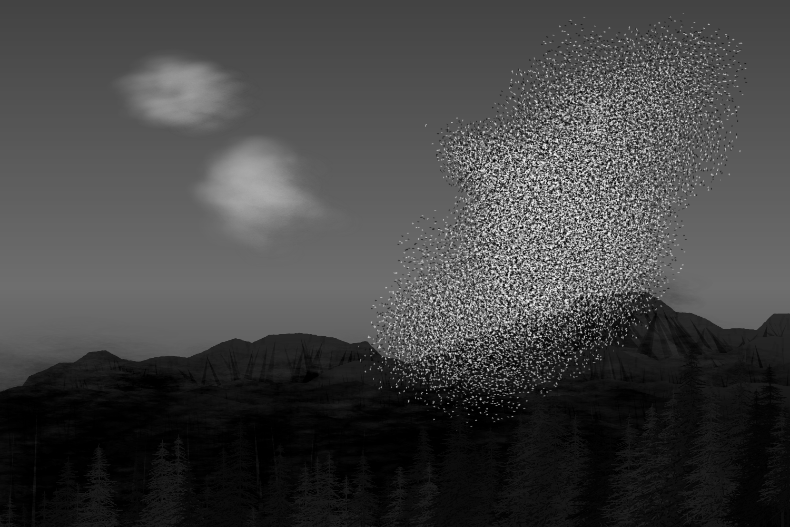 Starlings #13