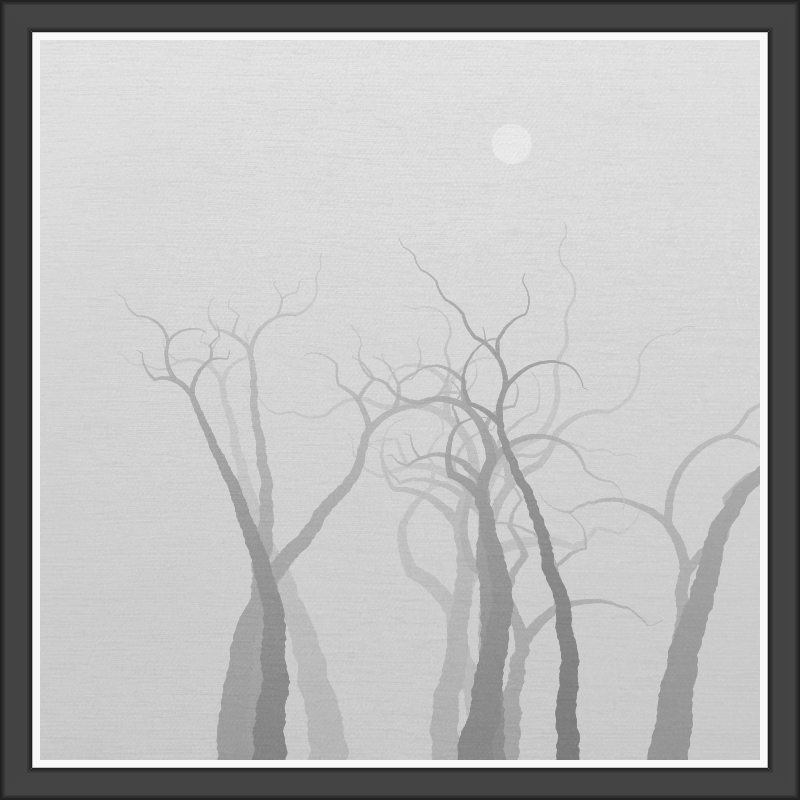 The Foggy Trees #139