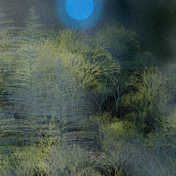 Moonlit Native Bush #116