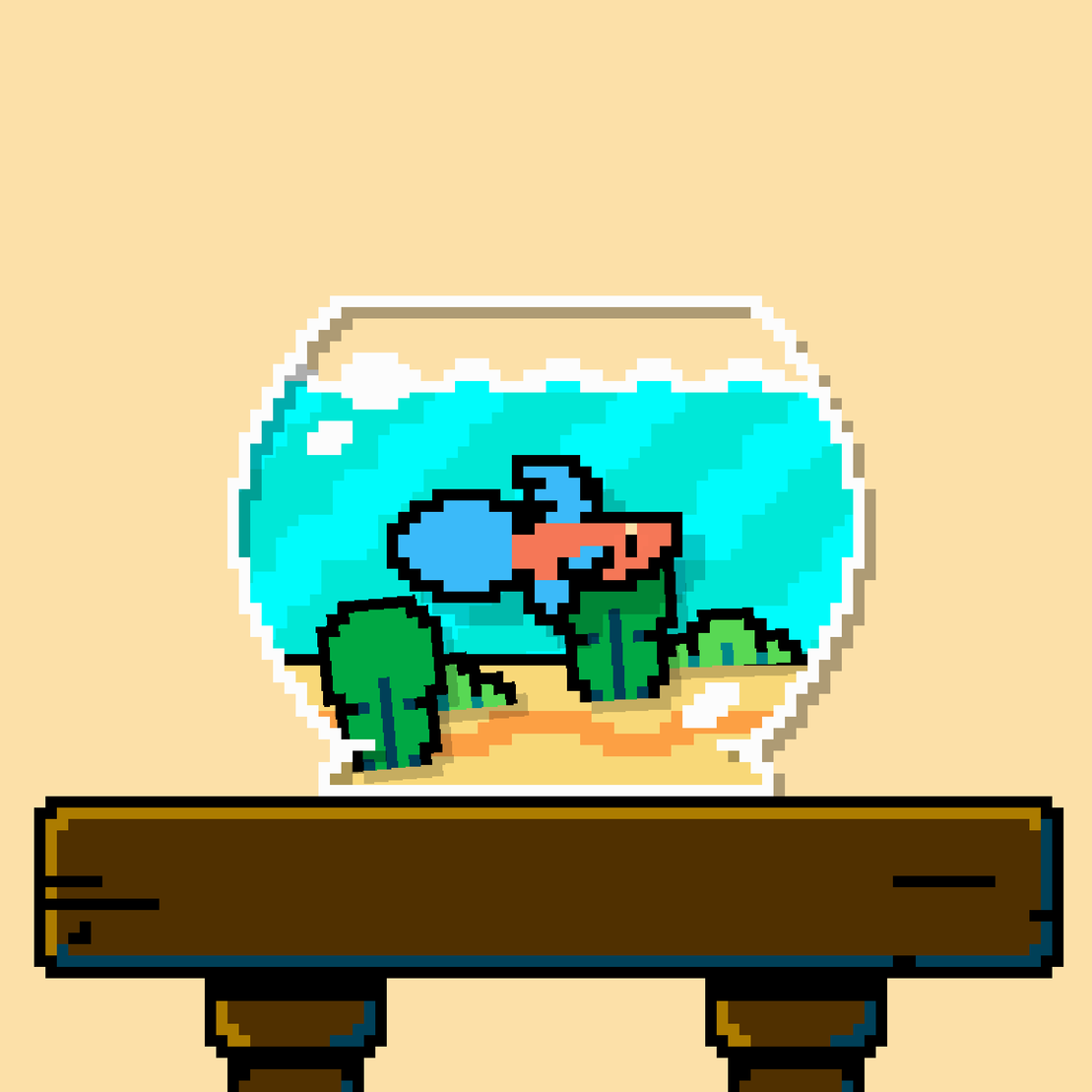 betta fish #518
