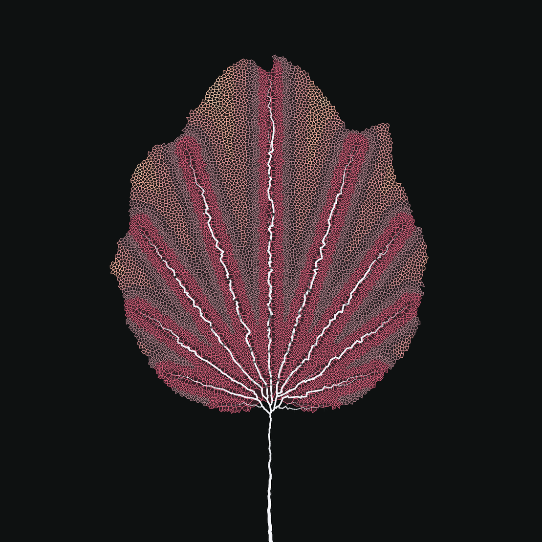 Leaf study #44