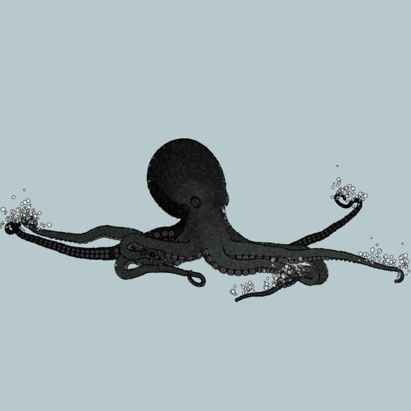 the generative octopuses #38