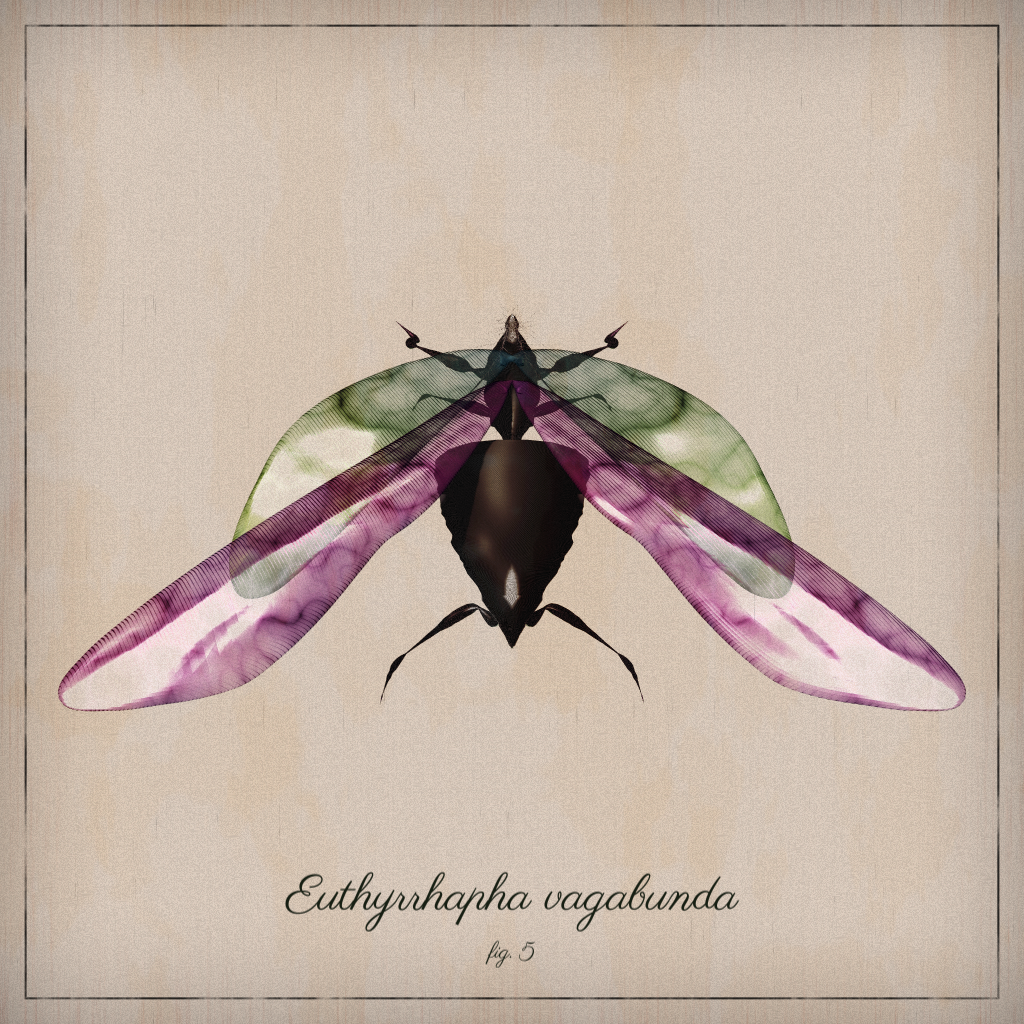 ProcGen Entomology #157