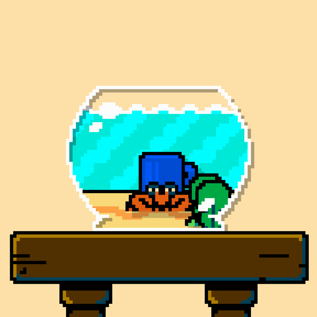 hermit crab #37