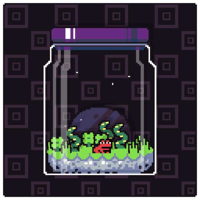 Toad Terrarium #78