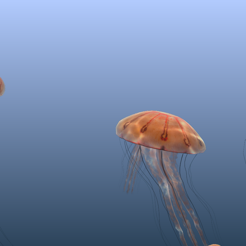 Jellyfish #40