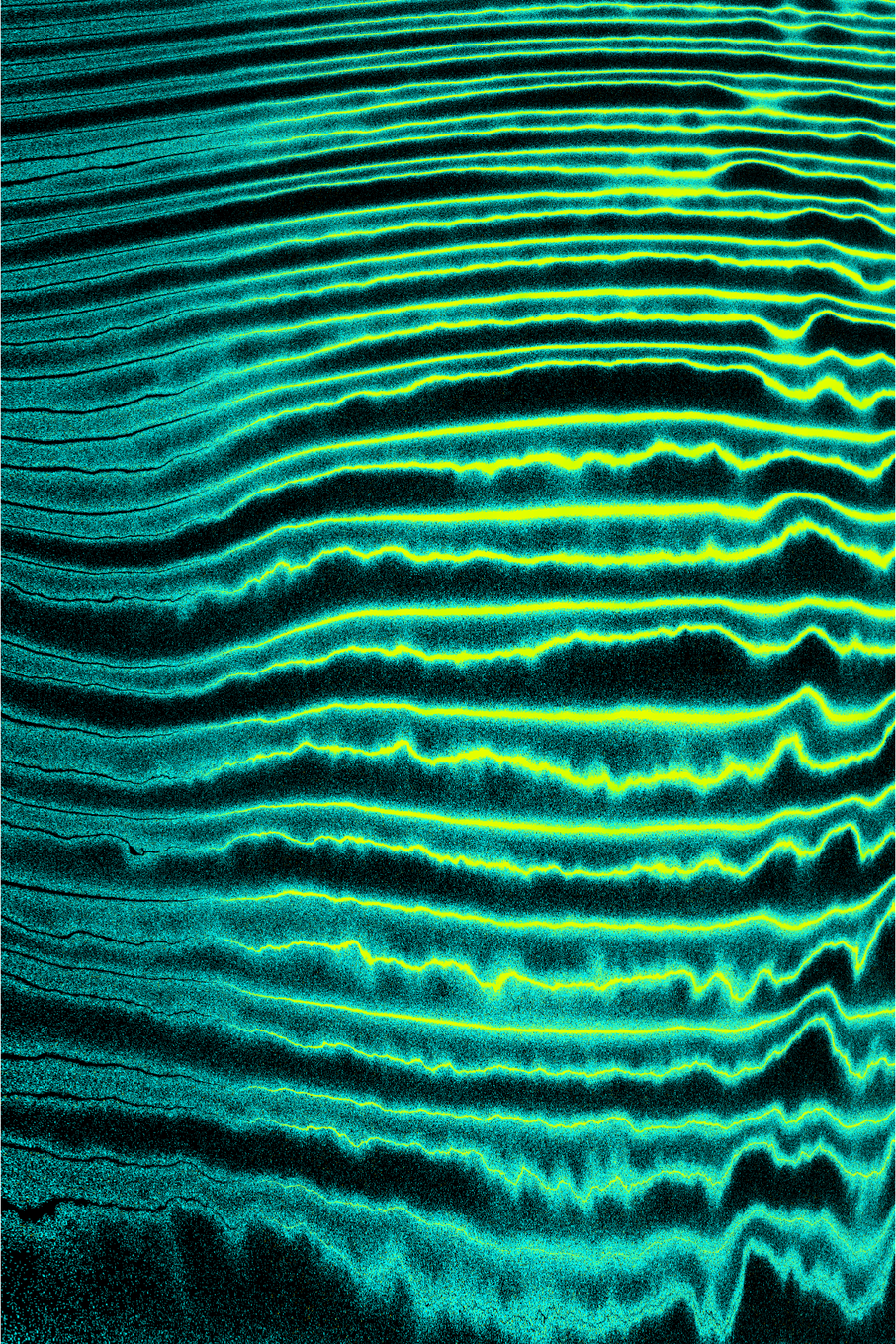 Linear Perturbations #3