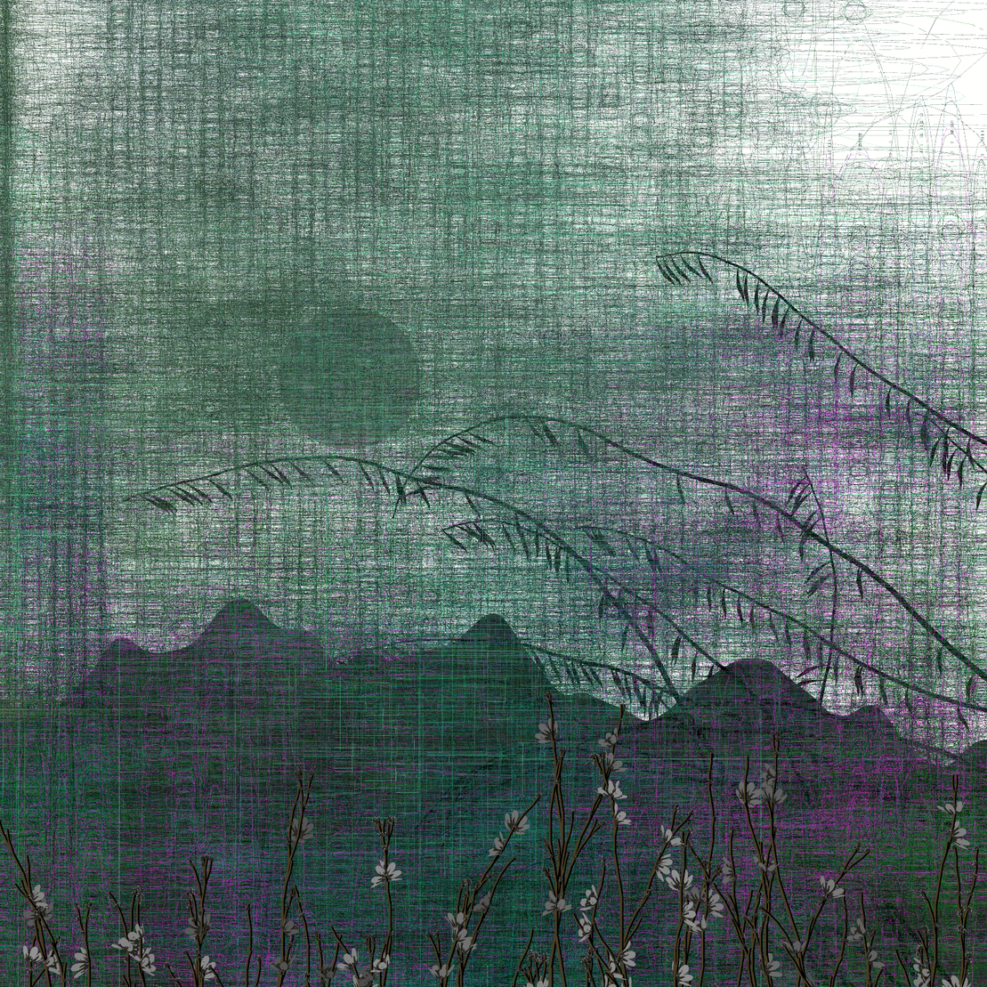 Echoes #81
