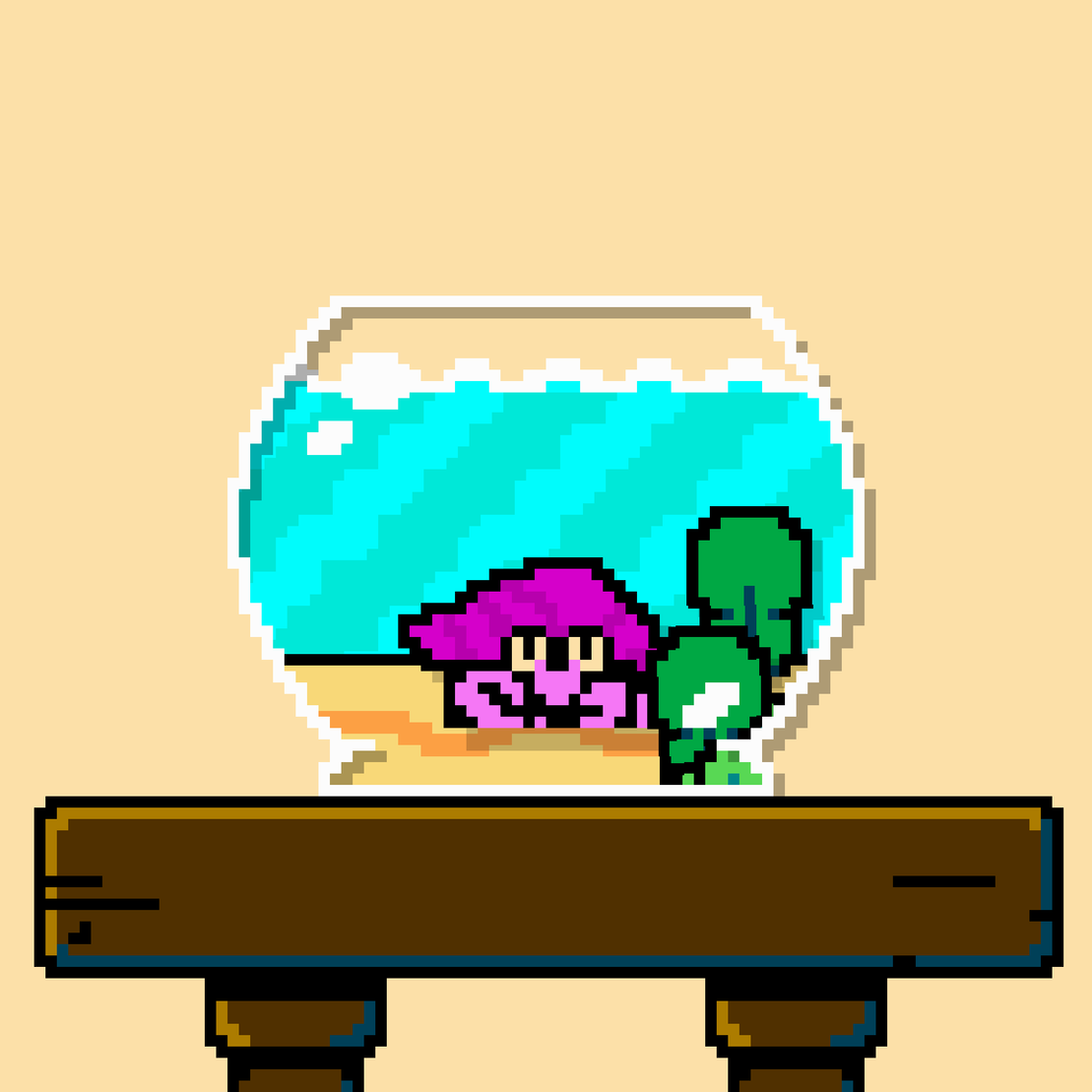 hermit crab #129