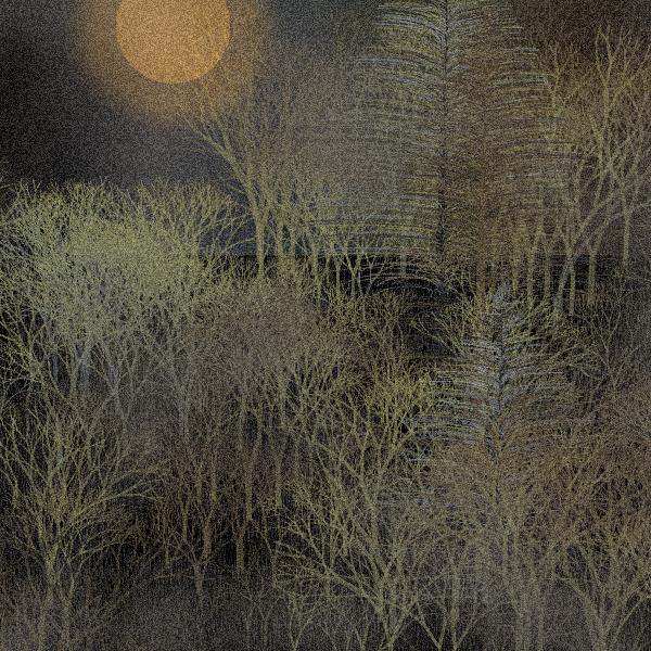 Moonlit Native Bush #50