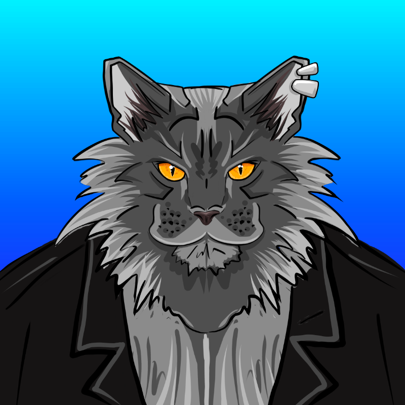 fxCat #5