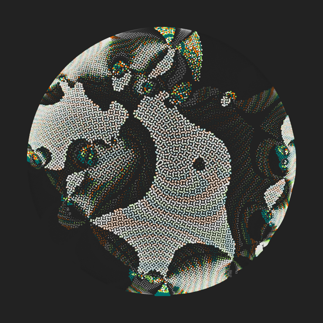 Still C #17043