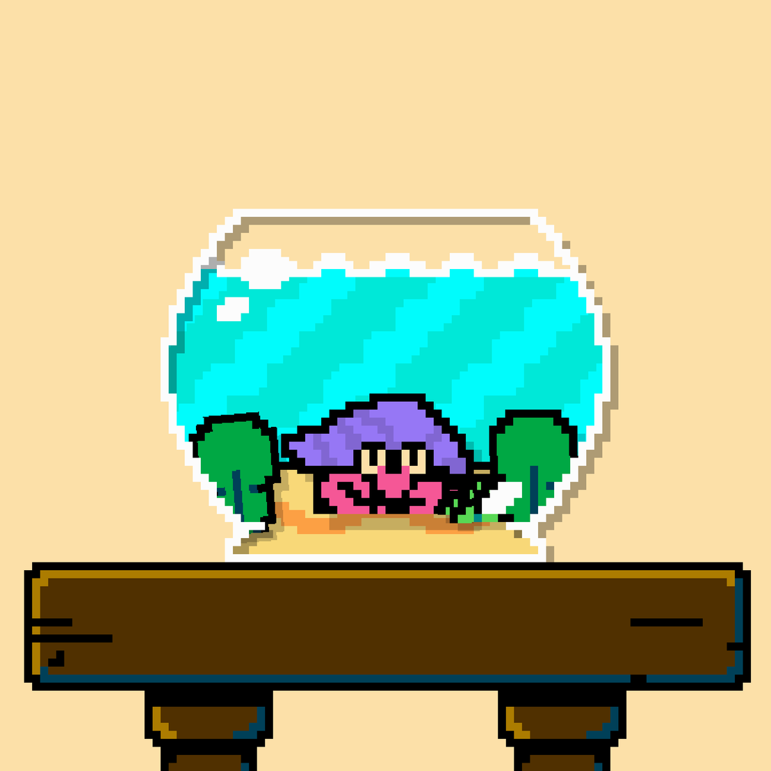 hermit crab #112