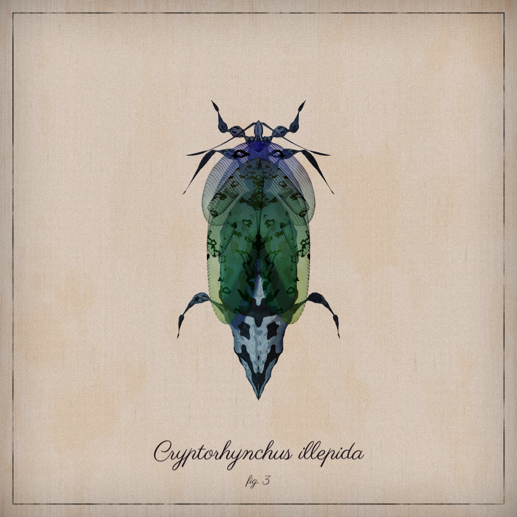 ProcGen Entomology #469