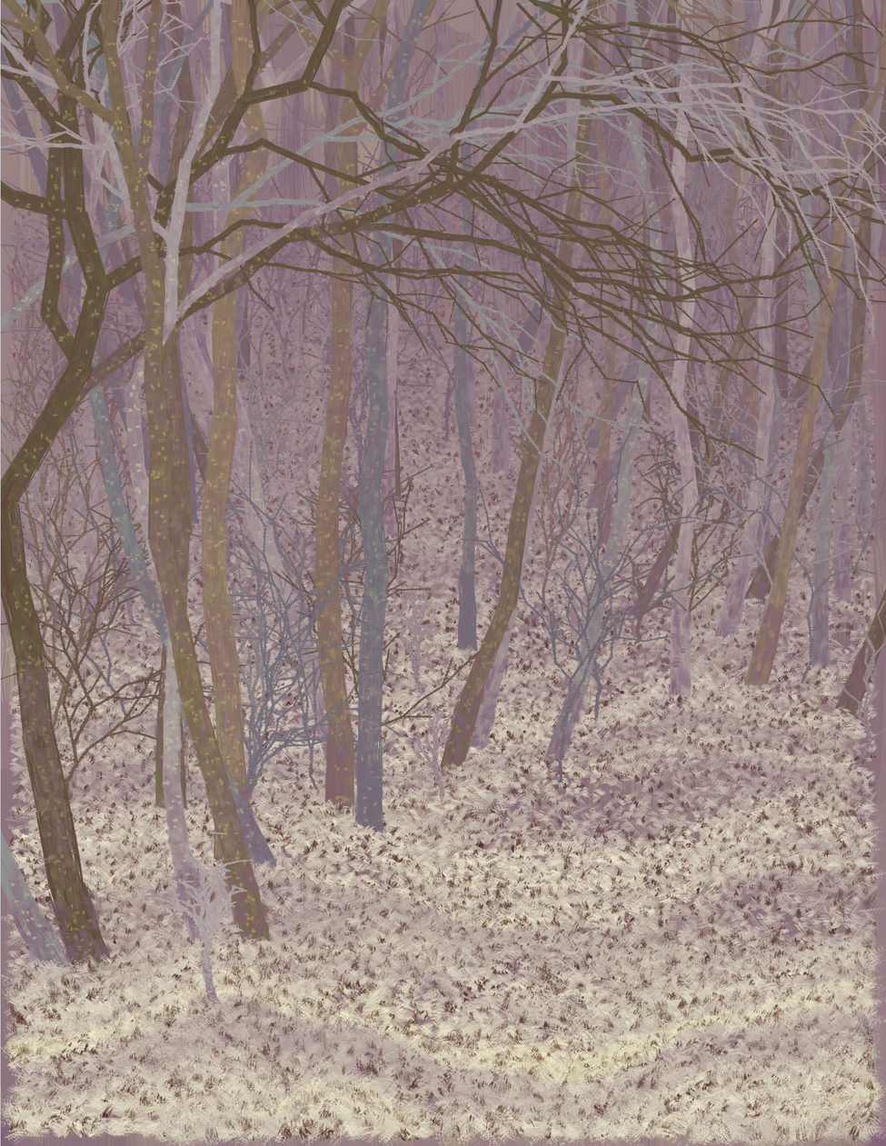 Deep Forest #254