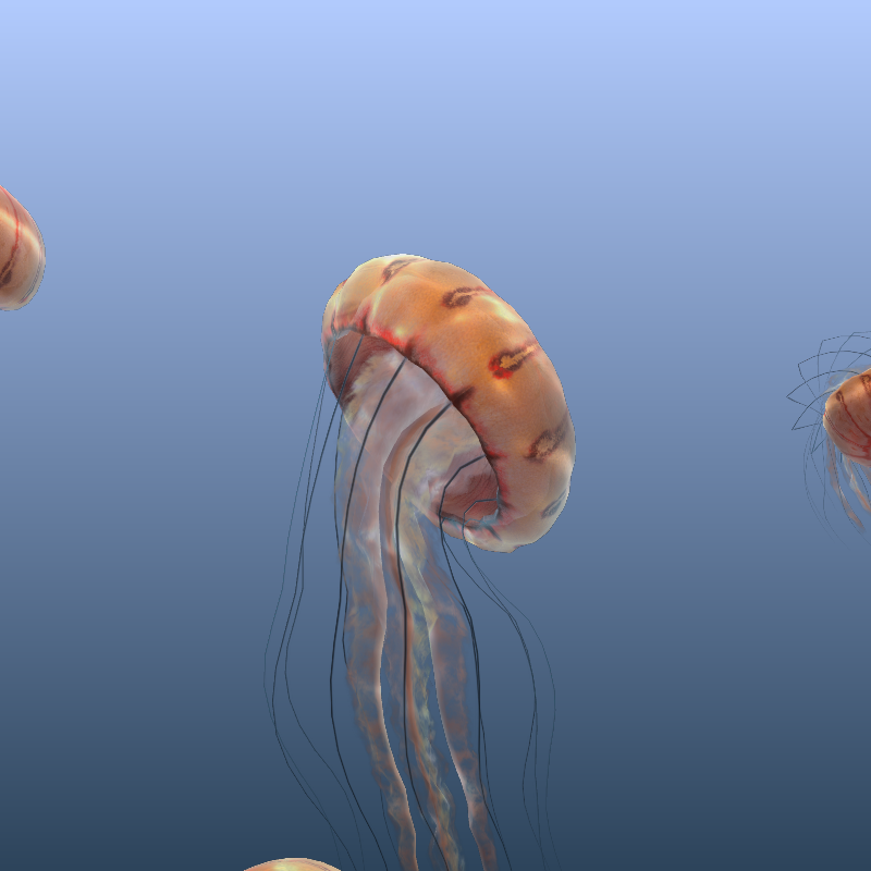 Jellyfish #50