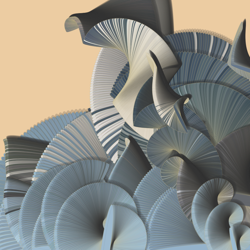 Seashells #156