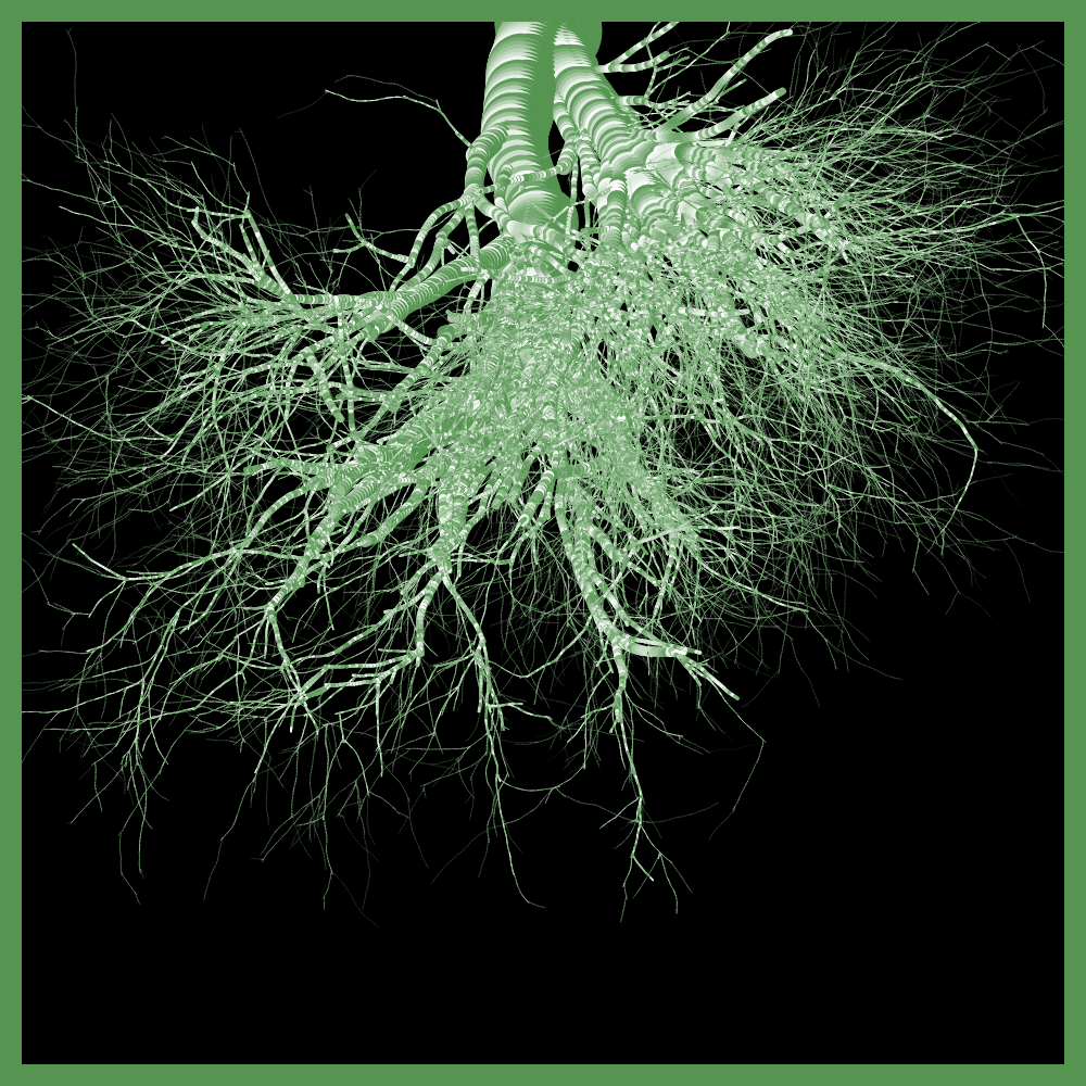 Arbres suspendus #42