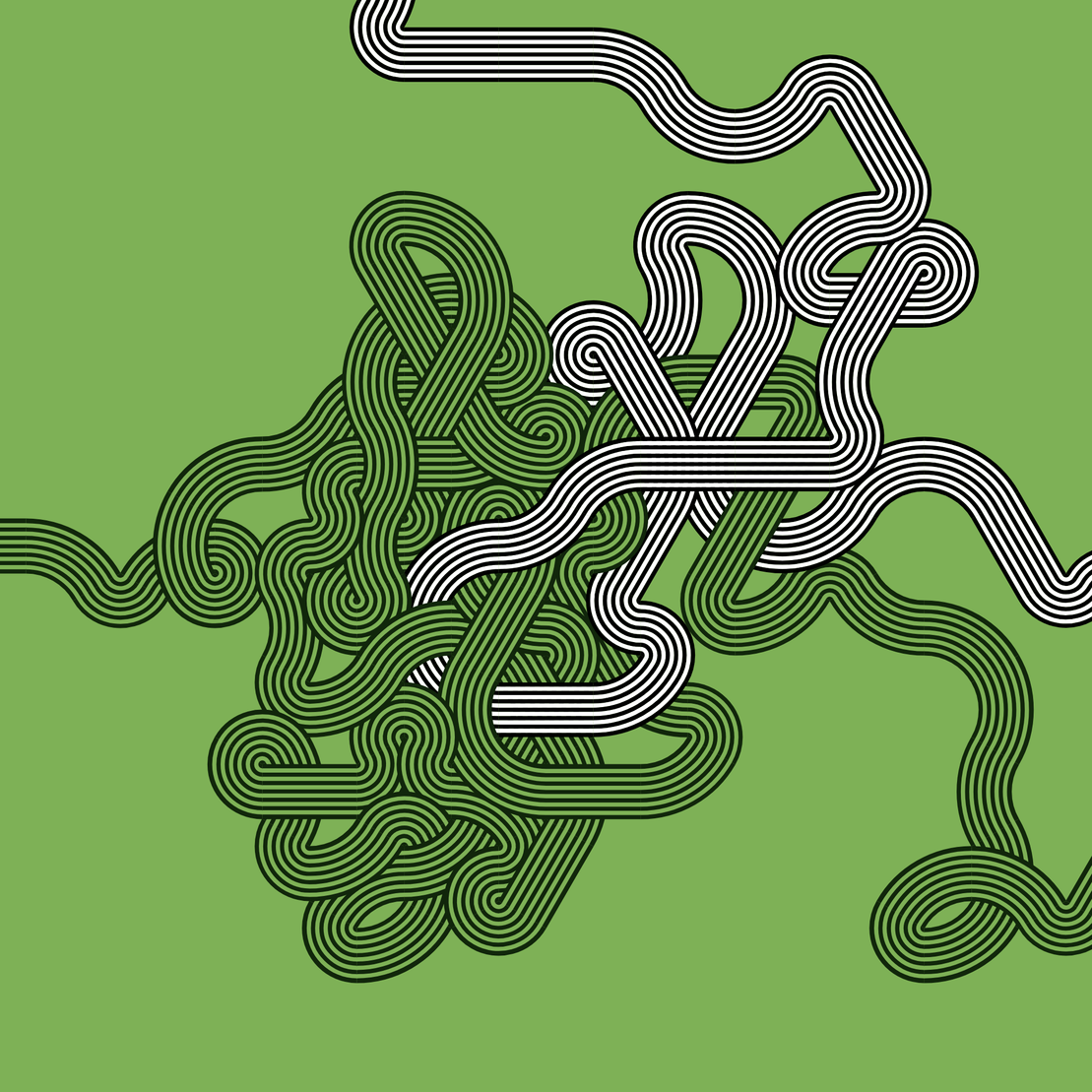 Wanderer #286