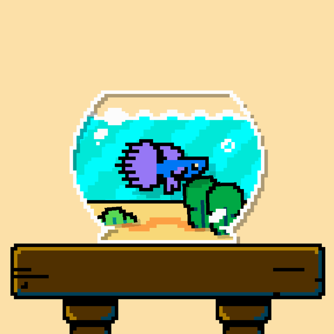 betta fish #441