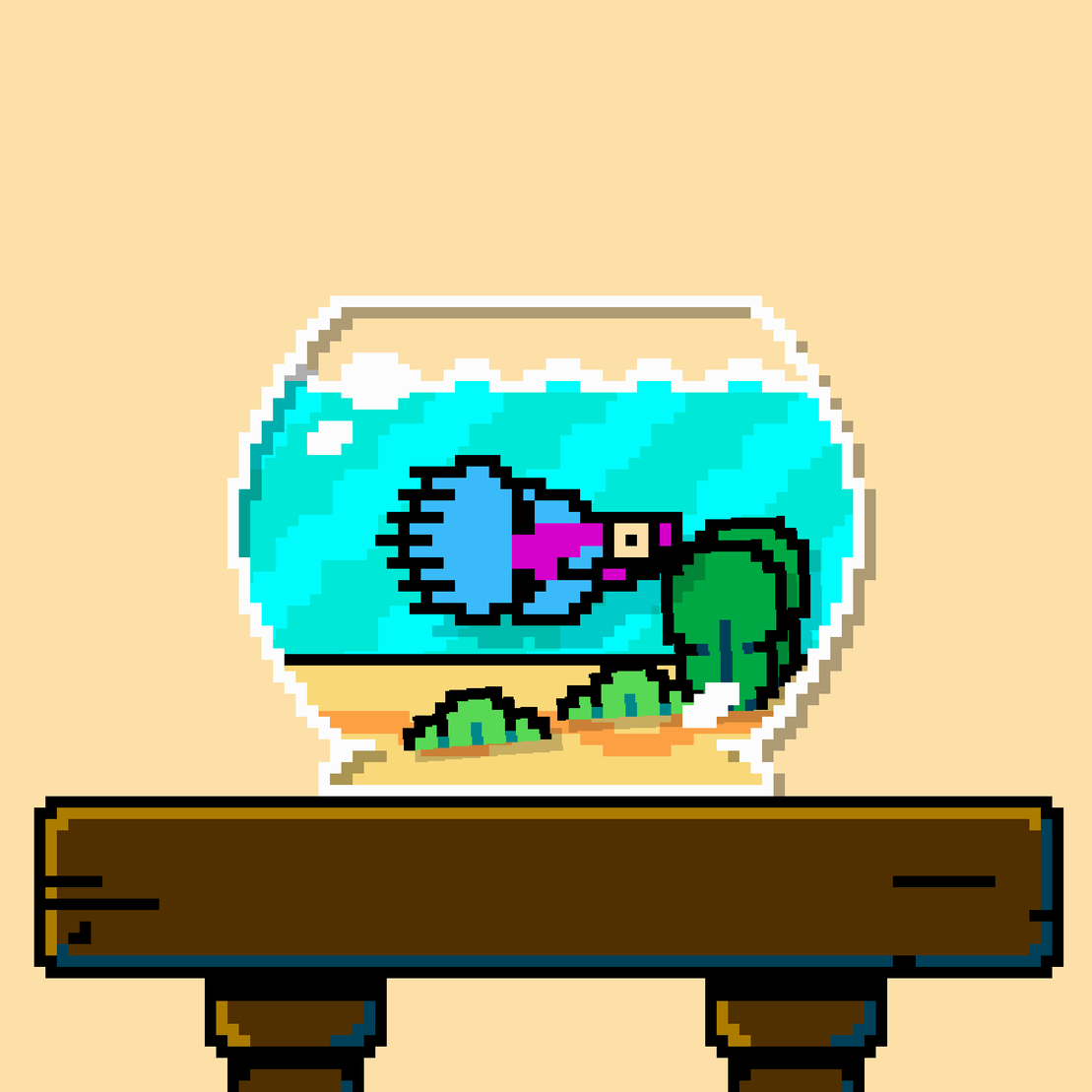 betta fish #132