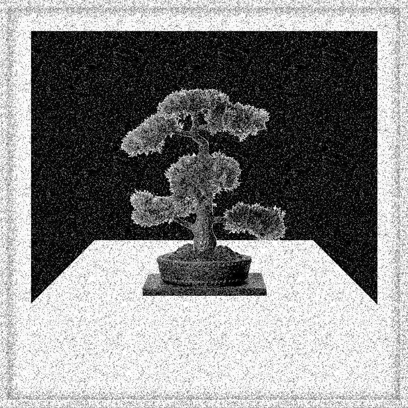 Bonsai Bonanza #211