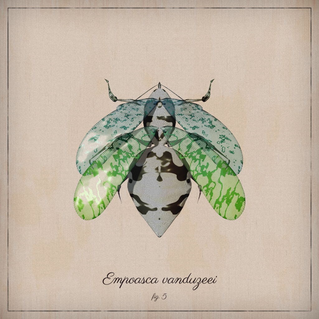 ProcGen Entomology #100