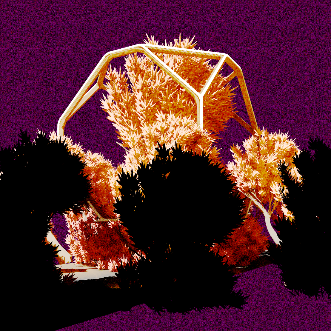 Urban Flora #20