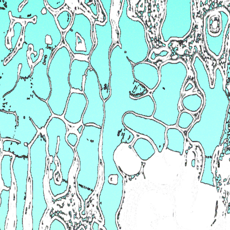 currents #81